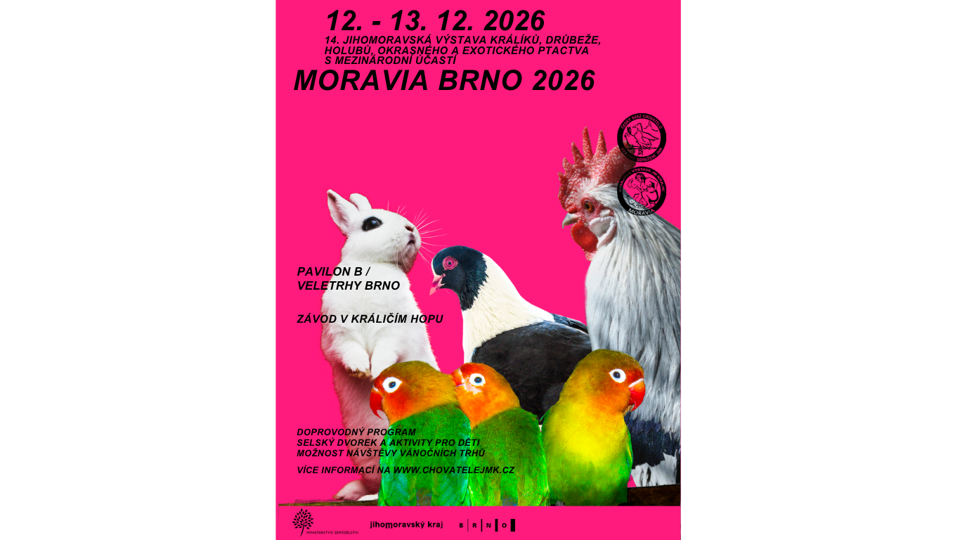 Návrh bez názvu (4)